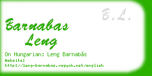 barnabas leng business card